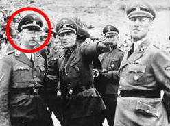 Himmler devant l'tendue des dgts